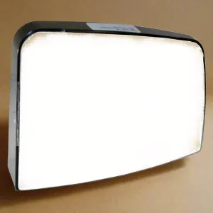 2016-2025  Ford F650-F750 Driver Side Lower Blind Spot Rear View Mirror Glass OEM