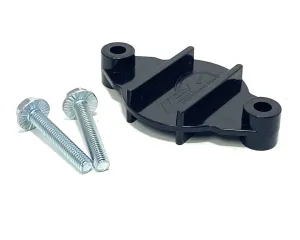 Briggs LO206 Fuel Pump Riser