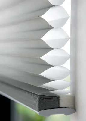 Honeycomb Blinds