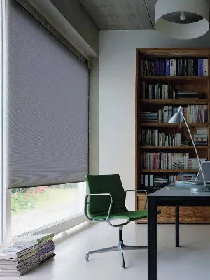 Honeycomb Blinds