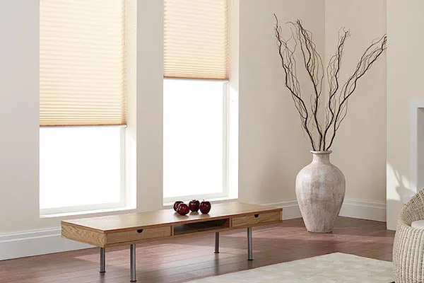 Honeycomb Blinds