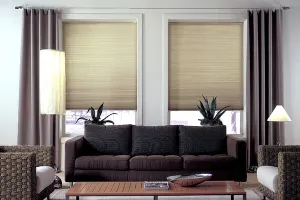 Honeycomb Blinds
