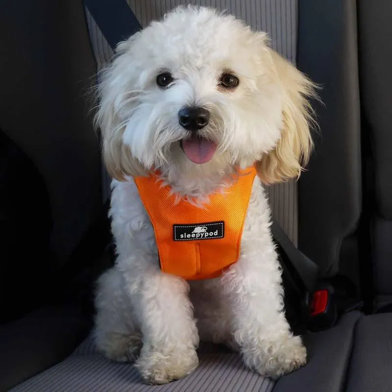 Sleepypod Clickit Sport Plus Crash-Tested Dog Car Harness